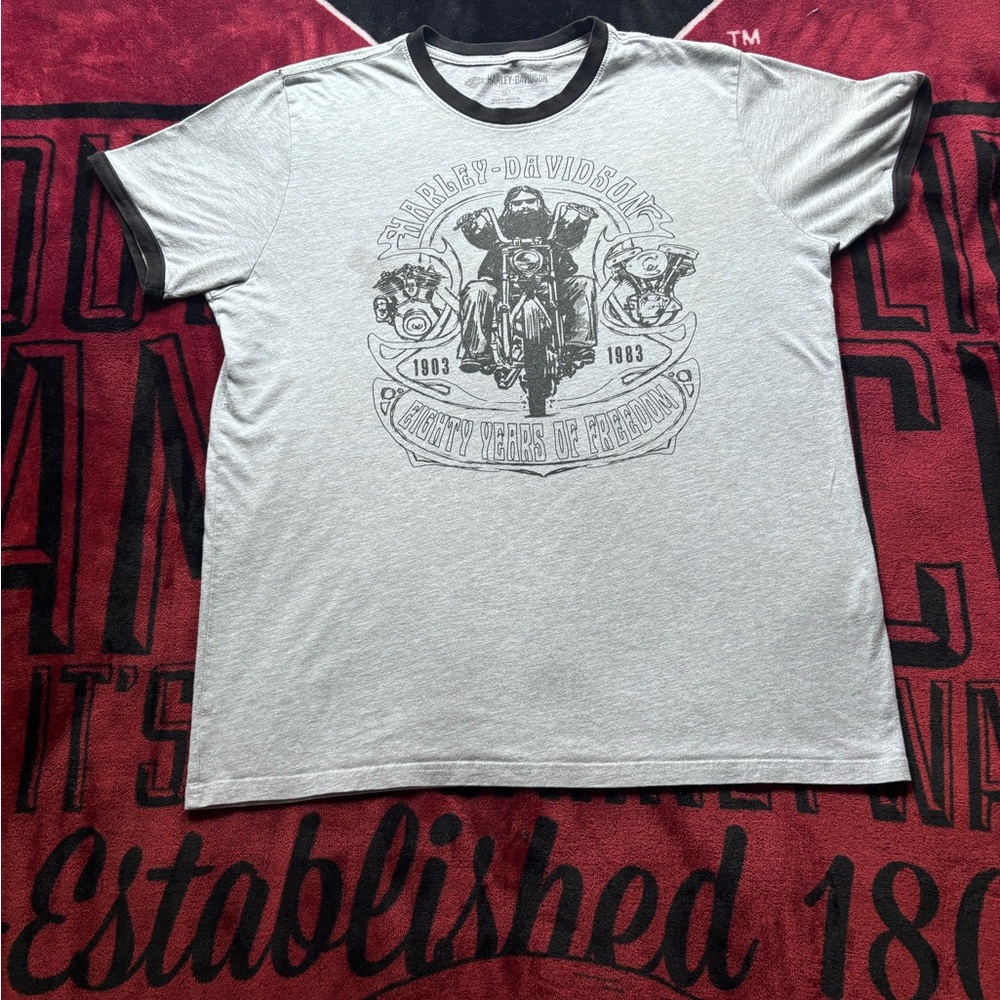 Harley-Davidson Men's Grey Graphic T-Shirt